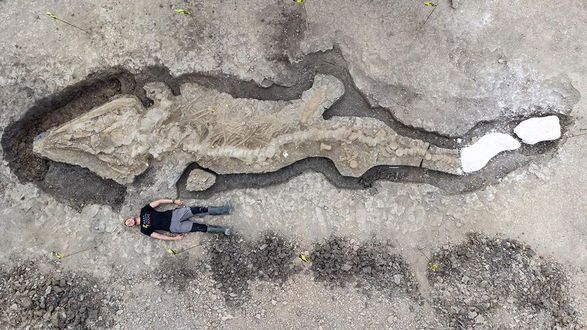 В Британии нашли огромный скелет морского динозавра